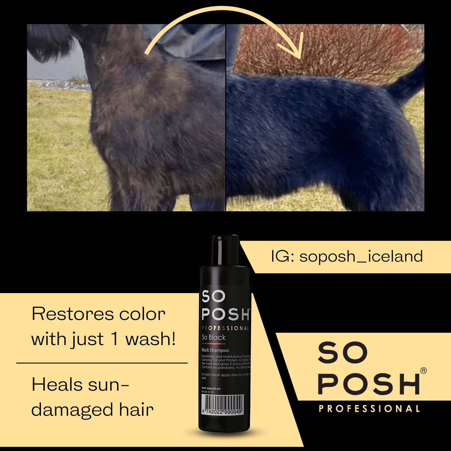 So Black Shampoo - SO POSH