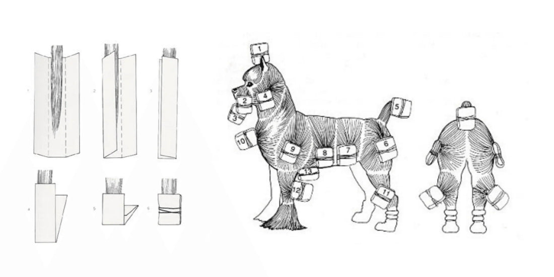 Dog Coat Wrapping: secret tips for 3 week tangle-free wrapping