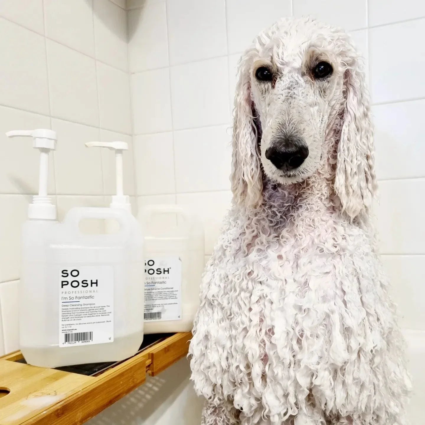 Shampoos